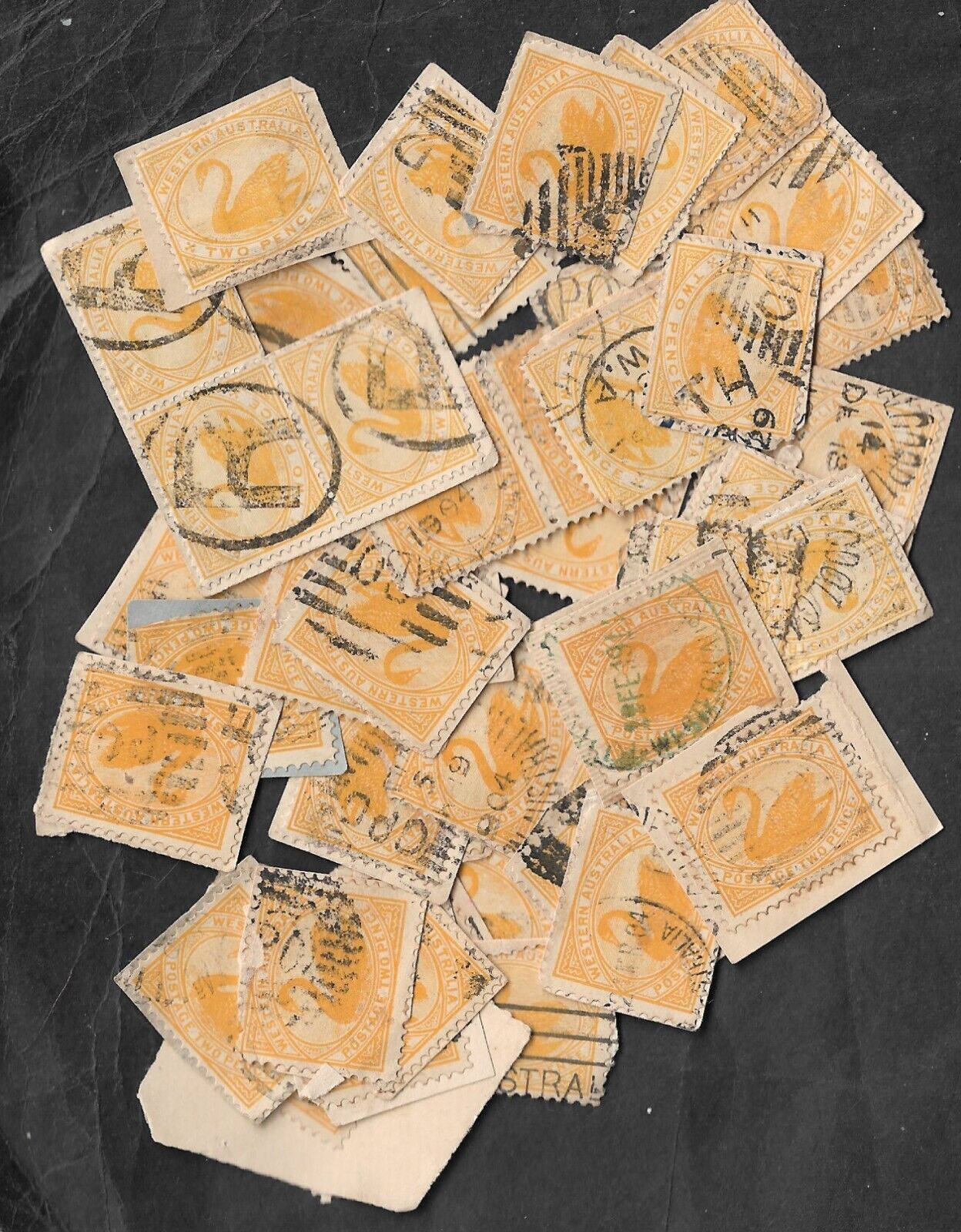 Western Australia 2d Yellow X 50 On Paper Mix Of 1899 & 1901 Issues